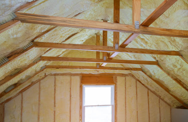 Best Best Insulation Companies  in Cairo, NE