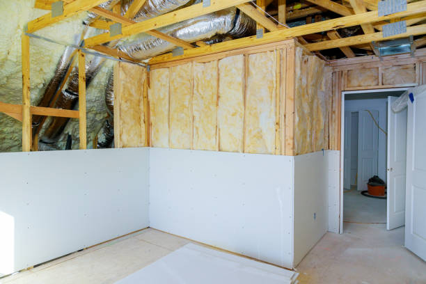 Best Spray Foam Insulation  in Cairo, NE