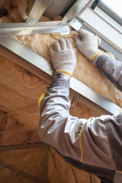Best Blown-in Insulation  in Cairo, NE