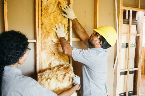 Garage Insulation Installation in Cairo, NE