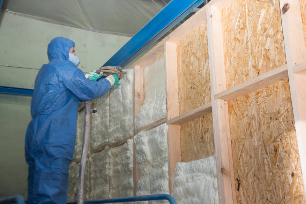 Best Attic Insulation Installation  in Cairo, NE