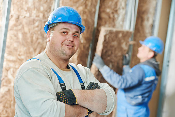Best Insulation Contractor Near Me  in Cairo, NE